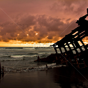 by Don Saddler - Landscapes Waterscapes