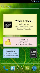 Pregnancy Due Date Widget