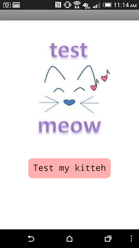 Test Meow