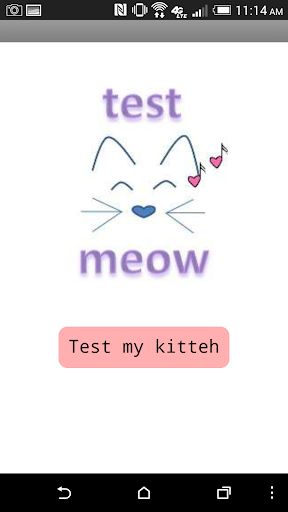 免費下載教育APP|Test Meow app開箱文|APP開箱王