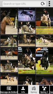 Download DE DOLLARD MANEGE WINSCHOTEN APK for Android