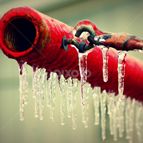 Ice on Pole by Teresa Delcambre - Nature Up Close Water