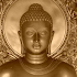 Buddha Quotes & Buddhism Free!2.9.1