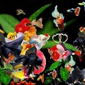 3D cute fishes