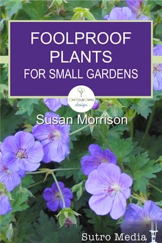 Plant Picks for Small Gardens