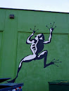 Frog on the Wall
