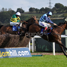 by JMJ Photographyuk - Sports & Fitness Other Sports