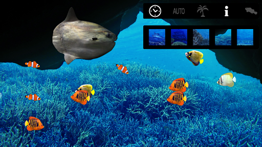 【免費娛樂App】Tap Aquarium-APP點子