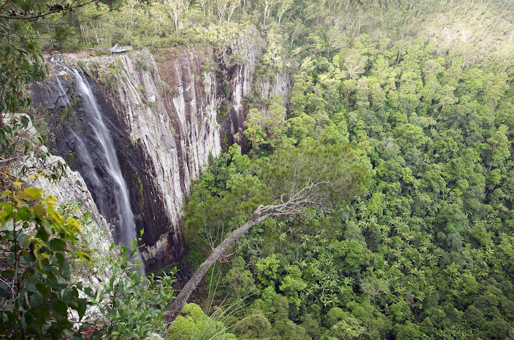 Minyon Falls in Nightcap National Park near Nimbin - Mullumbimby, Northern Rivers, New South Wales, Australia. 