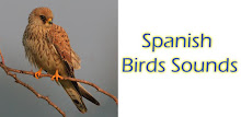 Spanish Birds Sounds Free APK