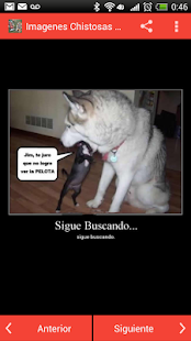 How to mod Imagenes Chistosas de Animales lastet apk for bluestacks