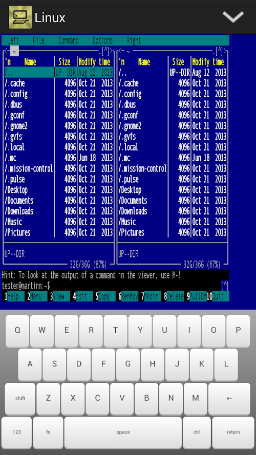 Android application TinyTERM Plus screenshort