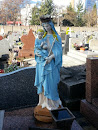 Statue De Marie En Couleurs