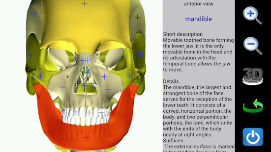 Visual Anatomy - screenshot thumbnail