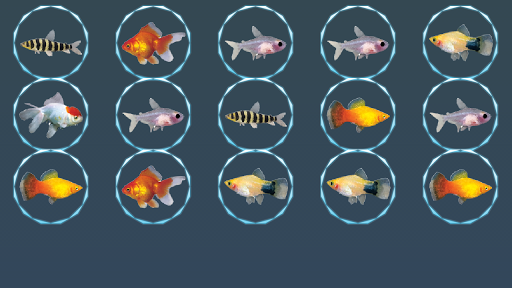 【免費紙牌App】A8 Fish Slot Machine-APP點子