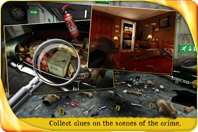 Profiler - Hidden object poster 3
