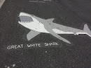 Great White Shark Mural
