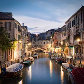Venice by Chris Pugh - City,  Street & Park Neighborhoods