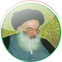 المسائل المنتخبة logo