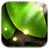 Tap Leaves Live Wallpaper icon