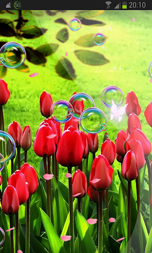 Spring Nature Live Wallpaper