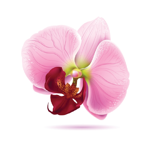 Orchid-1 商業 App LOGO-APP開箱王