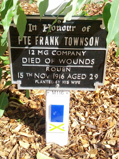 Private Frank Townson