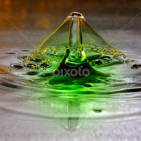 Perfect Canopy by Nirmal Kumar - Abstract Water Drops & Splashes