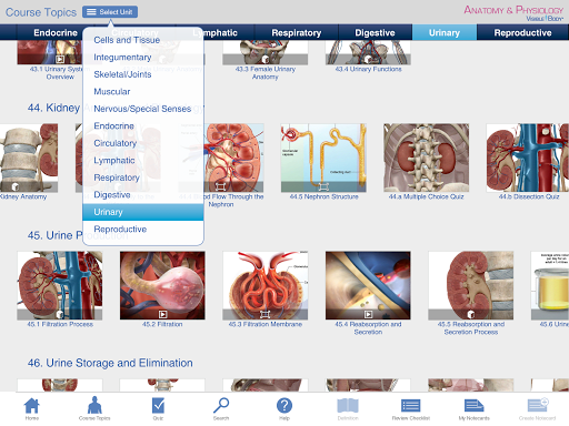 Anatomy Physiology Springer