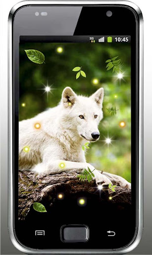 Wolf Nature HQ live wallpaper