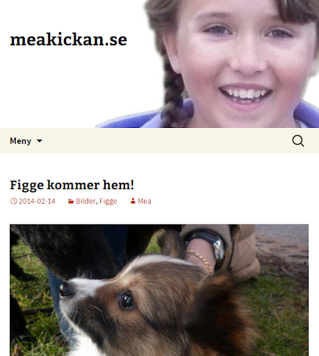 meakickan.se