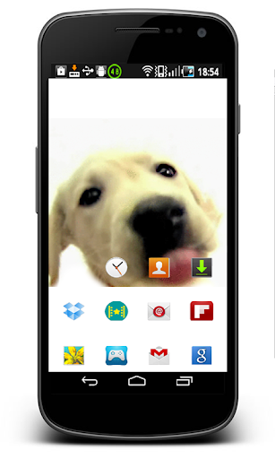 Puppy screen cleaner Wallpaper