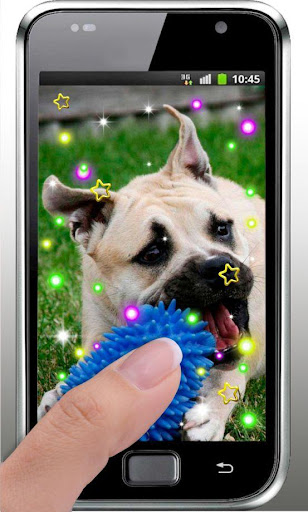 免費下載個人化APP|Pet Dog Free live wallpaper app開箱文|APP開箱王