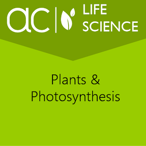 Plants & Photosynthesis 1.0.5