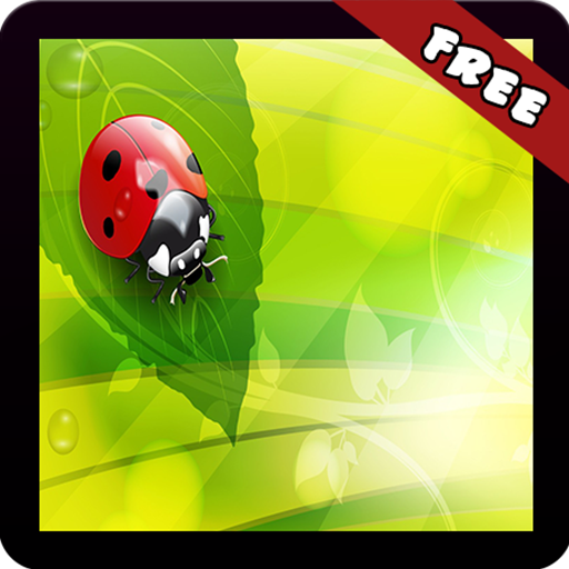 Ladybugs Wallpaper