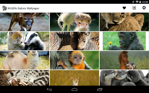 Wildlife Babies Wallpaper Screenshots 5