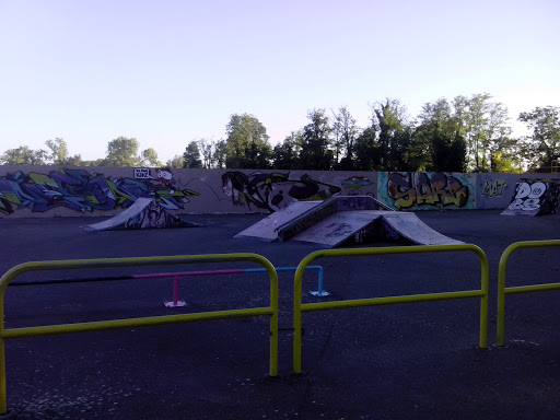 Skatepark Du Ramier