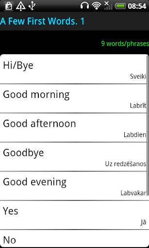 Surface Languages Latvian