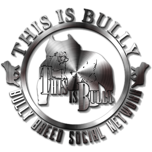 【免費社交App】Thisisbully Android App-APP點子