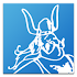Batavierenrace7.0.3