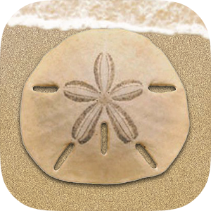 Coastal Resort Realty 1.5.0