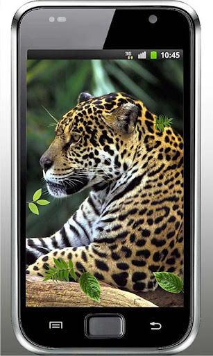 Leopard Jungle live wallpaper