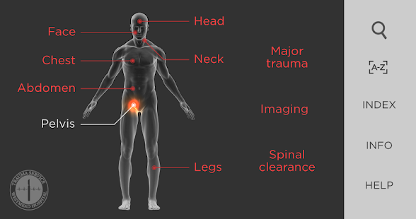   WESTMEAD  TRAUMA- screenshot thumbnail   