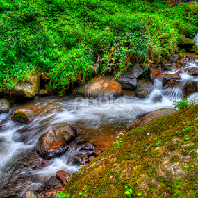 by Martin Marthadinata - Landscapes Waterscapes