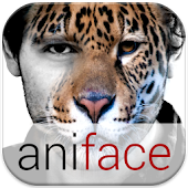 Animal Faces - Face Morphing