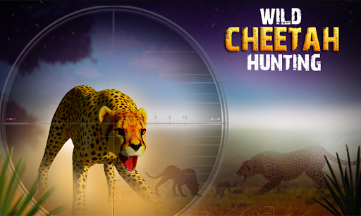 Wild Cheetah Hunting