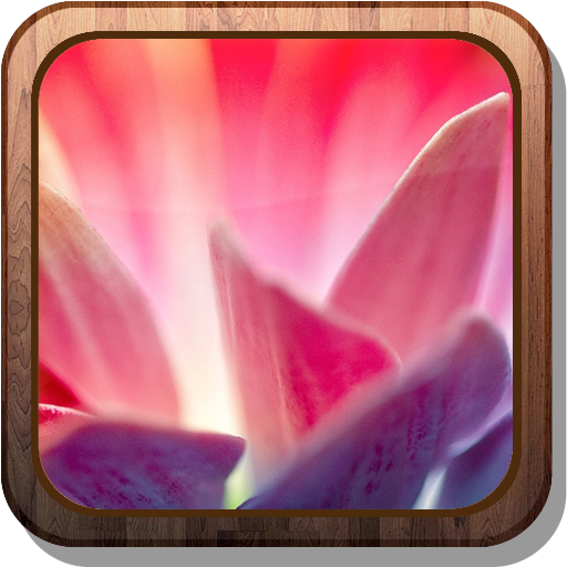 Bright flower Live Wallpaper 個人化 App LOGO-APP開箱王