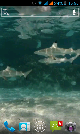 SHARKS LIVE WALLPAPER