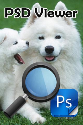 PSD Viewer