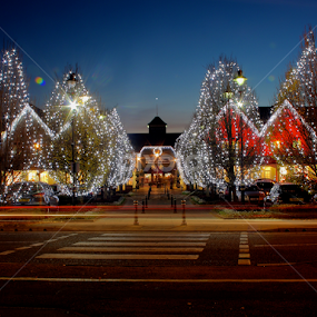 by Alex Chia - Public Holidays Christmas